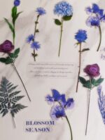 Цветя сет - лилави рози, лалета и клонки - Image 3