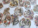 Сет котки - Image 2