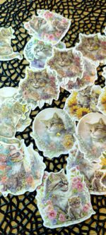 Сет котки - Image 5