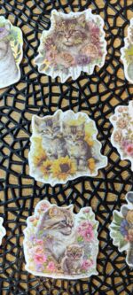 Сет котки - Image 4