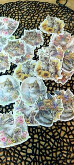 Сет котки - Image 6