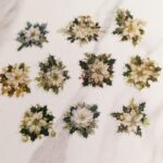 Коледни звезди, зелени